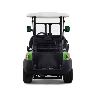 Popular garden noble 2 seater 48V cheap mini electric golf cart